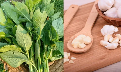 Từng mọc đầy bờ ruộng chẳng ai để ý, thứ rau dại có mùi như “xăng thơm” nay được bán 50.000 đồng/kg