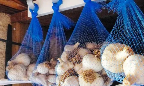 Hành, tỏi mua về đừng cất tùy tiện: 6 nguyên tắc giúp củ khô ráo, lâu mọc mầm