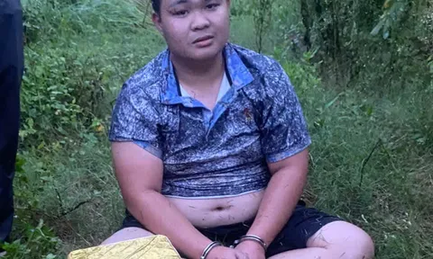 Bắt Phạm Quang Linh