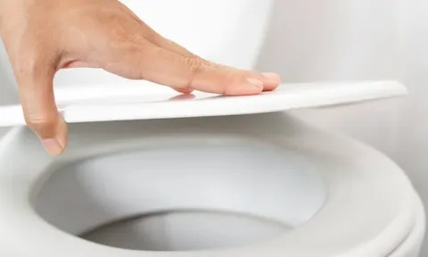 Trước khi nhấn nút xả bồn cầu, có một việc chỉ mất vài giây nhưng nhiều người thường bỏ qua