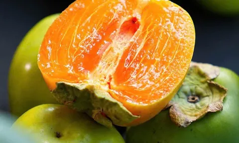 “Lộc trời” mỗi năm chỉ có một mùa, nhìn ngoài "xanh lè" tưởng chưa chín, bổ ra ruột dẻo giòn như thạch, hàng tuyển gần 200.000 đồng/kg