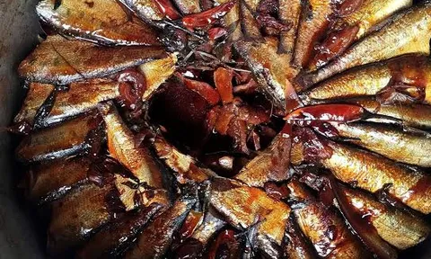 Loại cá nhỏ bé giá chỉ vài chục nghìn đồng/kg, được chuyên gia Mỹ khen vì 3 ưu điểm, chợ Việt bán nhiều