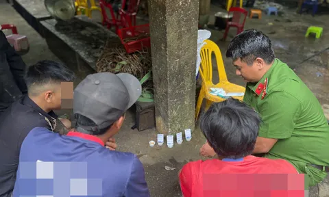 Công an bất ngờ kiểm tra 39 người tại các vườn sâm Ngọc Linh, tất cả đều có chung một kết quả