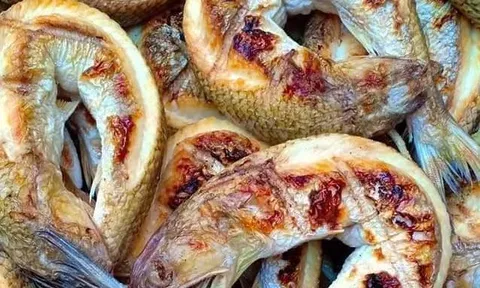 Loài cá hình dáng kỳ lạ, miệng ngậm đuôi, “xưa nhà khá giả mới mua” nay thành đặc sản được ưa chuộng, cách chế biến vô cùng độc đáo
