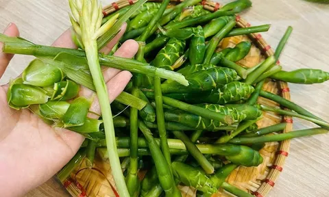 Thứ hoa của cây gia vị quen thuộc tưởng chỉ để ngắm, nay thành đặc sản Sơn La giá tới 80.000 đồng/kg, trồng 6 tháng cho thu hoạch