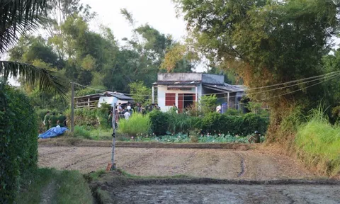 Vụ 4 người trong một gia đình tử vong bất thường ở Gia Lai: Căn nhà nằm biệt lập giữa cánh đồng, các thi thể được phát hiện ở đâu?