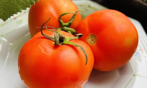 Cảnh báo: 5 nhóm người không nên ăn nhiều cà chua, rất nhiều người mắc mà không hay