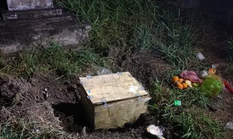 Thi thể bé trai sơ sinh trong thùng gỗ tại khu gò mả ở Đồng Tháp: Kết quả khám nghiệm tử thi
