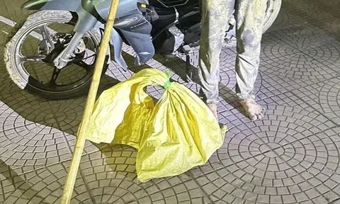 Hé lộ quá khứ "cộm cán" của 2 gã trai chuyên trộm mèo ở Hải Phòng