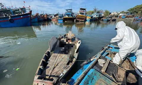 Phát hiện thi thể nam giới dưới sông ở Lâm Đồng, chưa xác định được danh tính