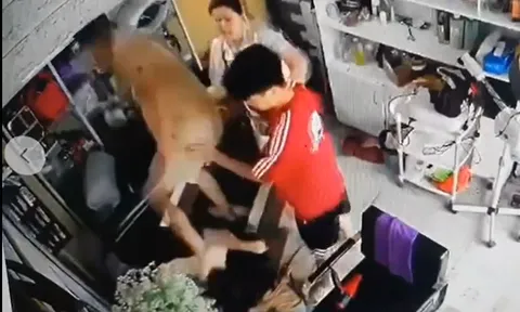 Vụ clip người phụ nữ ôm trẻ nhỏ bị hành hung liên tiếp ở Hà Nội: Công an vào cuộc