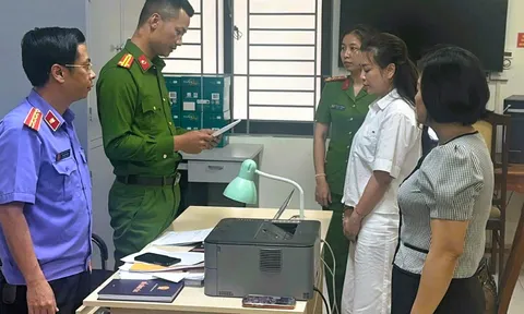 Trịnh Thị Vân Anh bị bắt tạm giam, vì sao?