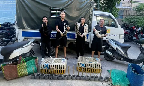 Nguyễn Thị Thanh Tâm bị bắt, hé lộ nguyên nhân khiến ai cũng phẫn nộ