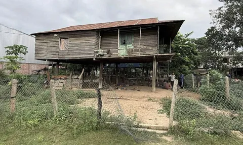 Vụ anh vợ chết dưới gầm nhà sàn: Lật tẩy tội ác sau cuộc nhậu