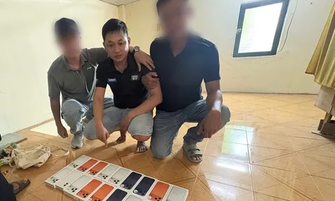 Lê Việt Cường bị bắt