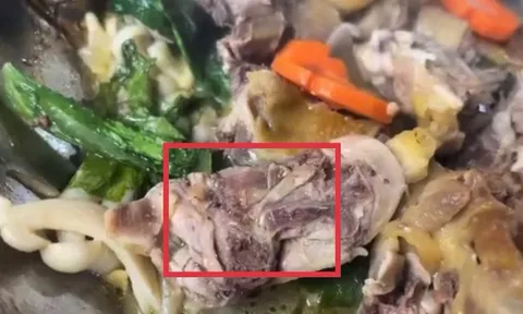 Tình tiết mới nhất vụ giòi bò lúc nhúc trong đĩa thịt gà tại tiệc tân gia ở Đắk Lắk, lời giải thích bất ngờ của chủ cơ sở nấu ăn