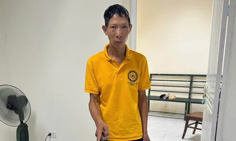 Lý do Phạm Việt Anh bị bắt