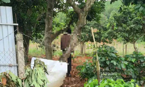 Vụ người đàn ông tử vong trong vườn cà phê ở Lâm Đồng: Gia đình tiết lộ thêm chi tiết cách đây 20 ngày