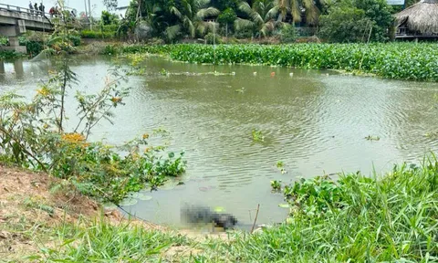 Đi cắt lục bình trên sông, tá hỏa phát hiện thi thể người đàn ông: Trong túi quần nạn nhân có điện thoại iPhone, không có giấy tờ tùy thân