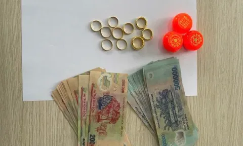 Mất hơn 200 triệu đồng trong phòng ngủ, người phụ nữ không ngờ thủ phạm lại là người quen