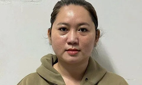 "Kiều nữ" vay tiền để "giải cứu" chuyên cơ chở 90 tỷ đồng vừa bị bắt là ai?