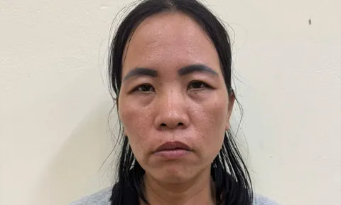 Nguyễn Thị Hoài bị bắt