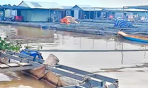 Thương tâm: Phát hiện con trai bị điện giật, cha lao đến cứu, cả 2 cùng rơi xuống sông mất tích