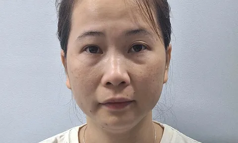 Trần Thị Cẩm Hoa bị bắt, lật tẩy chiêu thức lừa đảo tiền tỷ