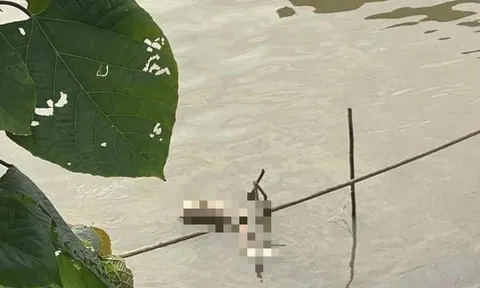 Phát hiện người đàn ông tử vong chưa rõ nguyên nhân ở sông Hồng: Hé lộ danh tính nạn nhân
