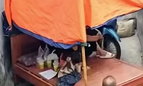 Mang giường, chuồng chó chặn lối đi, Tạ Thị Chi bị khởi tố vì hành vi gì?
