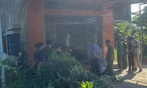 Xác định danh tính 2 cha con thiệt mạng trong vụ cháy nhà ở Gia Lai