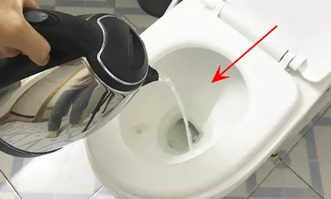 Tại sao bạn nên đổ nước sôi vào bồn cầu ngay khi nhận phòng khách sạn? Bí mật không phải ai cũng biết