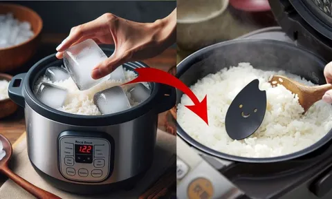 Bỏ một viên đá lạnh vào nồi cơm điện: Công dụng tuyệt vời ai biết cũng muốn làm theo