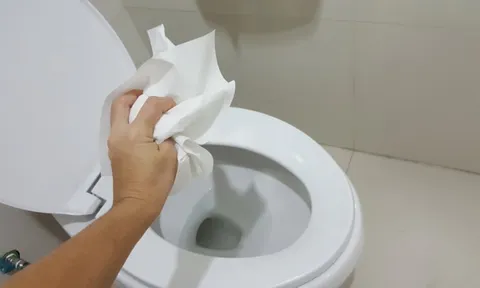 Lý do vì sao người Nhật không bao giờ vứt giấy vệ sinh vào thùng rác?