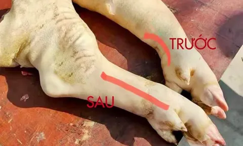 Đi chợ nên mua chân giò trước hay sau thì ngon hơn? Cách phân biệt, chọn chân giò chuẩn nhất