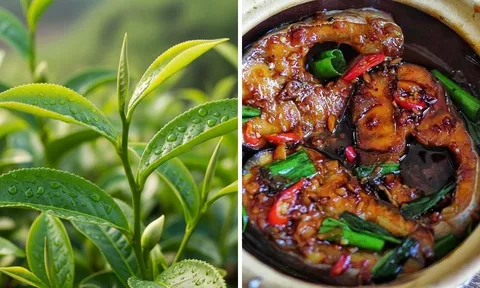 Kho cá đừng cho mỗi riềng, thêm nắm lá này cá nhừ xương, chắc thịt, khử sạch mùi tanh