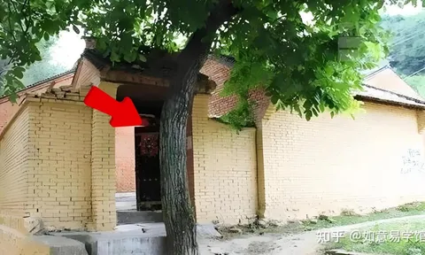 Người xưa nói: "Trước cửa không trồng cây, sau nhà ít mở cửa sổ", vì sao?