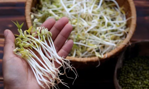 Người mắc 1 trong 5 bệnh này tuyệt đối không nên ăn giá đỗ