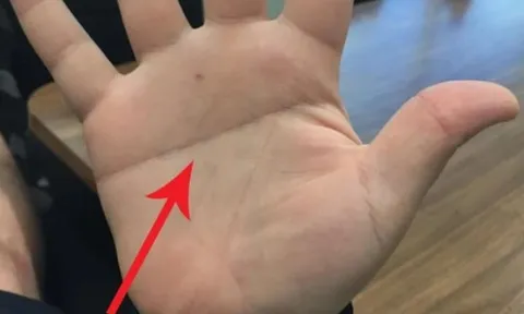 Các cụ nói: "Tay nam một đường là vàng bạc, tay nữ một đường bỏ người nuôi", là đường nào?