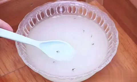 Đặt bát nước tự chế này ở góc tường: Nhà sạch bóng, không còn dấu vết một con muỗi