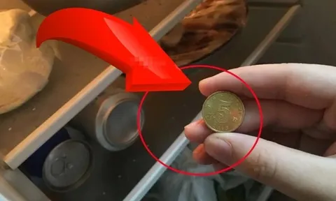 Tại sao nhiều gia đình thích đặt một đồng xu trong tủ lạnh?