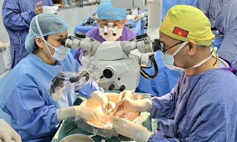 Lần đầu tiên thực hiện thành công ca ghép dương vật từ người cho chết não, tiến tới ghép tử cung