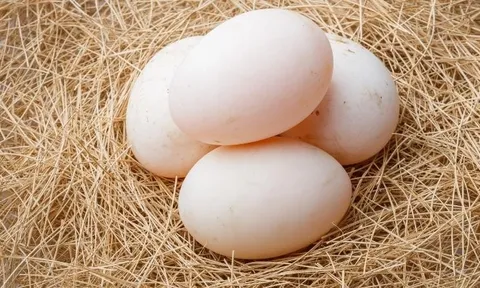 5 người không nên ăn trứng vịt