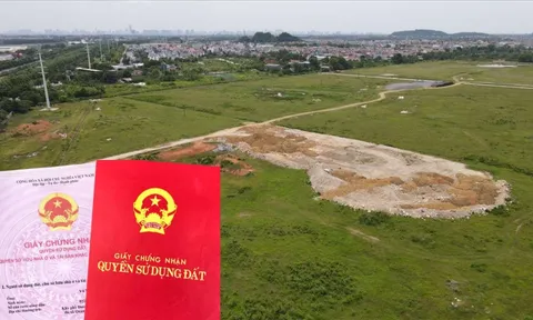 Kể từ nay: Phạt tới 10 triệu đồng với người dân sở hữu đất đai nếu cố tình làm một việc!
