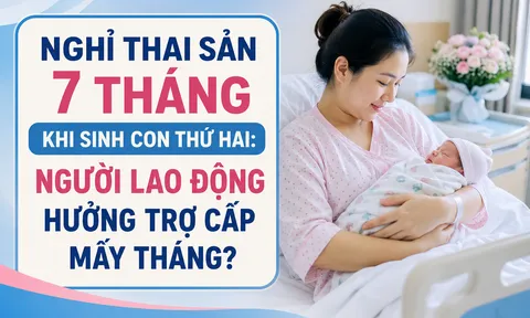 Nghỉ thai sản 7 tháng khi sinh con thứ hai: Người lao động hưởng trợ cấp 6 hay 7 tháng?