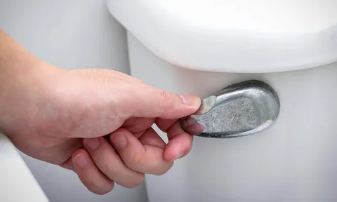 Tại sao bạn nên đóng nắp bồn cầu trước khi xả nước?