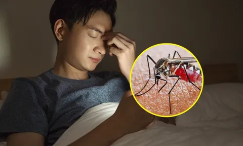Tại sao tắt điện thì nghe muỗi kêu vo ve, bật điện lên lại không thấy con nào?