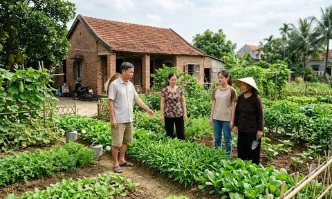 Cách chia đất đai thừa kế khi ông bà qua đời không để lại di chúc