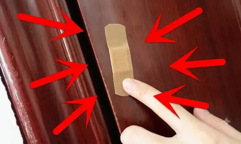 Tại sao bạn nên dán một miếng urgo lên cửa nhà vệ sinh?