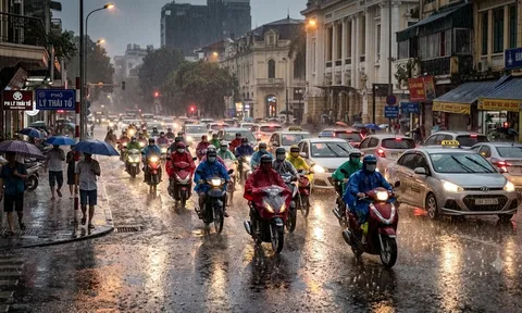 Tin gió mùa Đông Bắc mới nhất: Tỉnh thành nào sẽ mưa to nhiều ngày liên tiếp?
